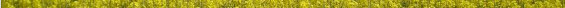 logo centrale